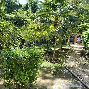  Villa Mini Pini Bird Watching And Cenote Loft Mexico